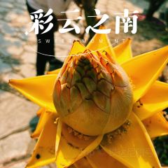 和順寸家味道張用戶圖片