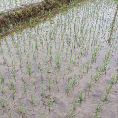 王家大院民宿餐饮 User Photo