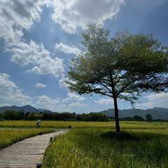 三禾稻里民宿·米仓 User Photo