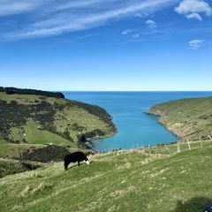 Akaroa Fish & Chips User Photo
