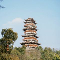 月英凉粉(西街店) User Photo