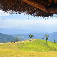 Akha FarmVille User Photo