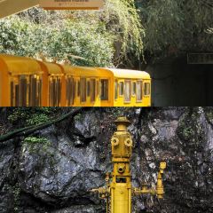 矿工食堂 User Photo