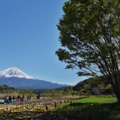 Funari, Oshino Hakkai User Photo