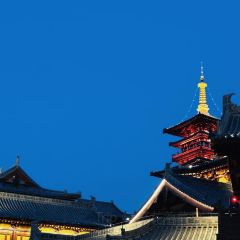 ZHENG XI WANG User Photo
