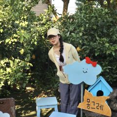 Mongle Woljeong-ri 여행 사진