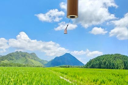 在发呆·lan's浪肆咖啡庄园