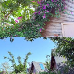 云孚里云宿.西湖云岛·餐厅 User Photo