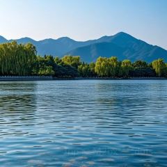 孙家糖油条 User Photo