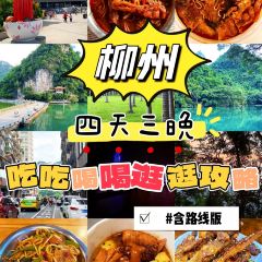 韋韋木薯羹張用戶圖片