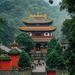 Dongmendoufunao User Photo