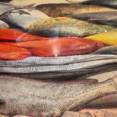 Taiwanxin Restaurant User Photo