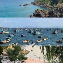 乞老板海鲜烧烤•甜麻肥蛤•海胆•海肠捞饭(山大店) User Photo