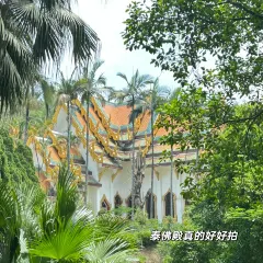 Titalk cafe User Photo