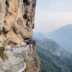 遂昌乐领旗山侠隐庄园·悬崖咖啡馆 User Photo