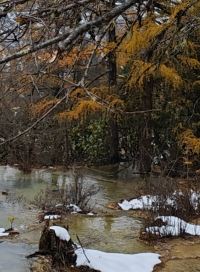 Sanxianlaoganbu 全季飯店（重慶解放碑步行街店）優惠