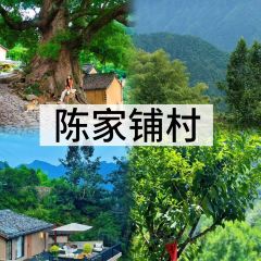 头上红煨盐鸡乡村食府 User Photo