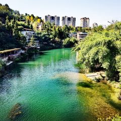 築箐苑張用戶圖片