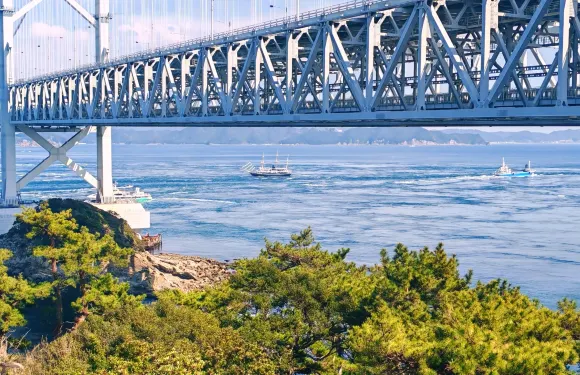 Kyodo Ryori Shiokaze