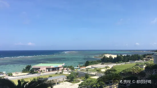 イノー（沖縄美ら海水族館）