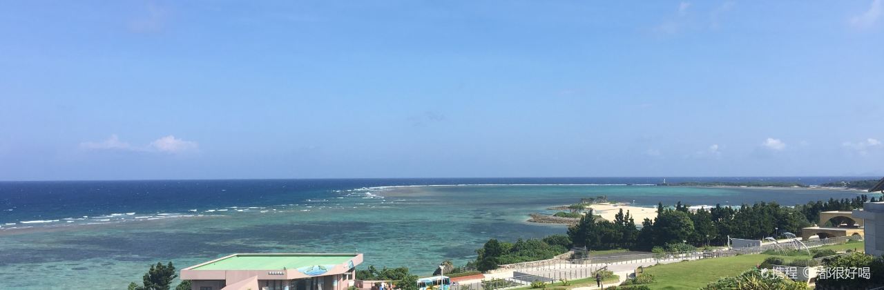 イノー（沖縄美ら海水族館）
