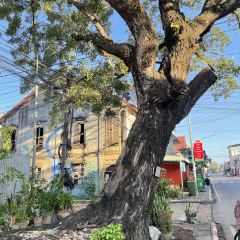 ຄົວສະຫວັນເຝີເຮືອຫຼິ້ນເສັ້ນ 여행 사진