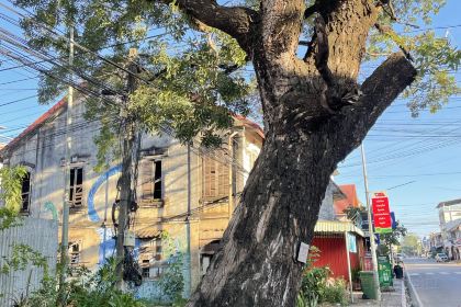 ຄົວສະຫວັນເຝີເຮືອຫຼິ້ນເສັ້ນ