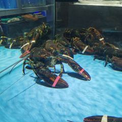 紫陽海鮮樓·福州菜（金洲南路店）張用戶圖片