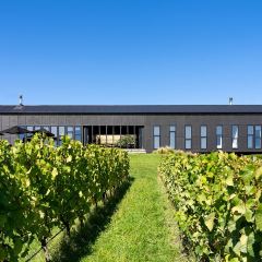 Black Estate Wines 여행 사진