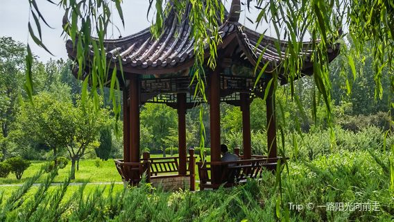 Botou City Canal Culture Park