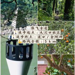 陶四喜火锅(五里店店) User Photo