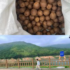 火根農家飯莊張用戶圖片