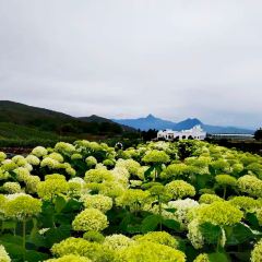 听花谷餐厅 User Photo