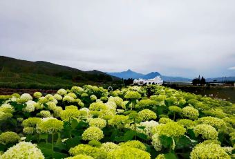 听花谷餐厅 User Photo