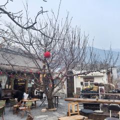 也行Cafe User Photo