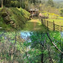 山涧别院 User Photo