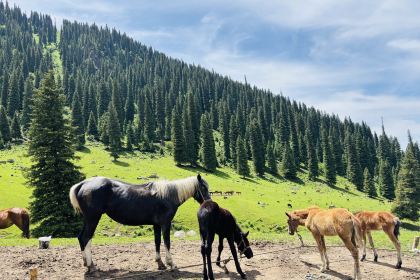 Shuxiangyuan Restaurant