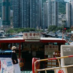 流記香港仔艇仔粉 User Photo