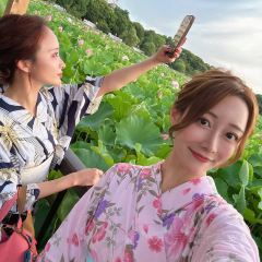 Torie Ueno Hirokoji User Photo