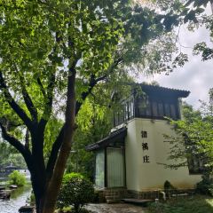 清溪莊張用戶圖片