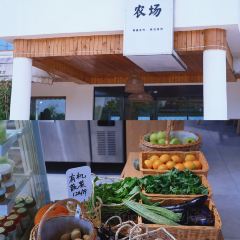 閱味草堂張用戶圖片