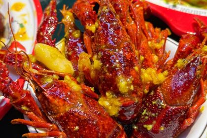 Benpaobaxiaolongxia (weilailu)