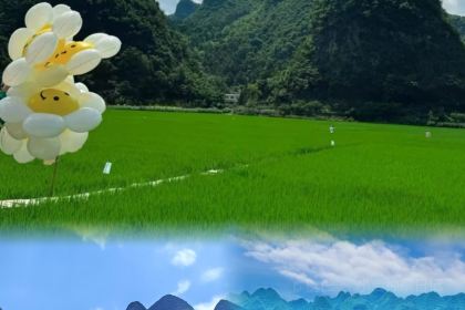 Taste Resort·Restaurant