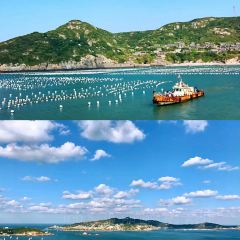 鱼当家 User Photo