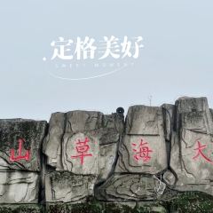 会泽大海草山羴犇烧烤店 User Photo