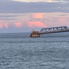 台州湾小海鲜·范家厨房(人民路店) User Photo