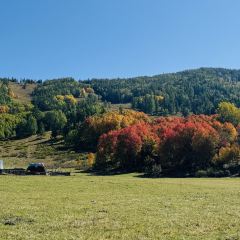 禾木老村山庄 User Photo