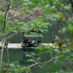 杭州明月松间·潜川酒店·最林泉 User Photo