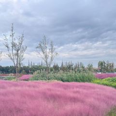 杜家土菜馆(长兴店) User Photo