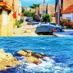 咱妈家·海菜包子(长峰店) User Photo